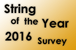 stringoftheyear2016_survey.png